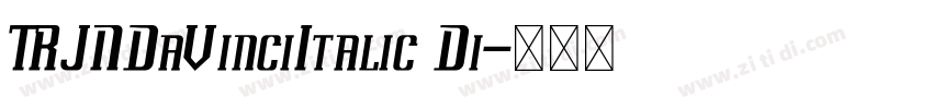 TRJNDaVinciItalic Di字体转换